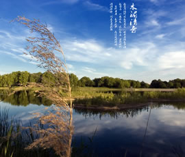 新義水鄉中醫藥浴康養、黃龍溪古鎮二日游