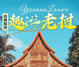 【趣游老撾 · 經(jīng)典版納】—昆明、普洱、西雙版納、磨丁、瑯勃拉邦四動8日游