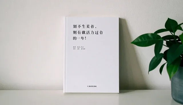 资源分配不均如何影响运维效率